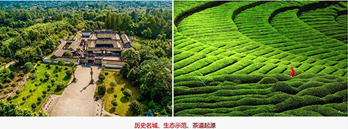 茶文化是历史，设计源于何方